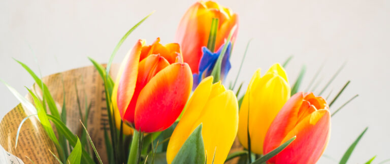 Choose for yourself the Flobal chiffon dress